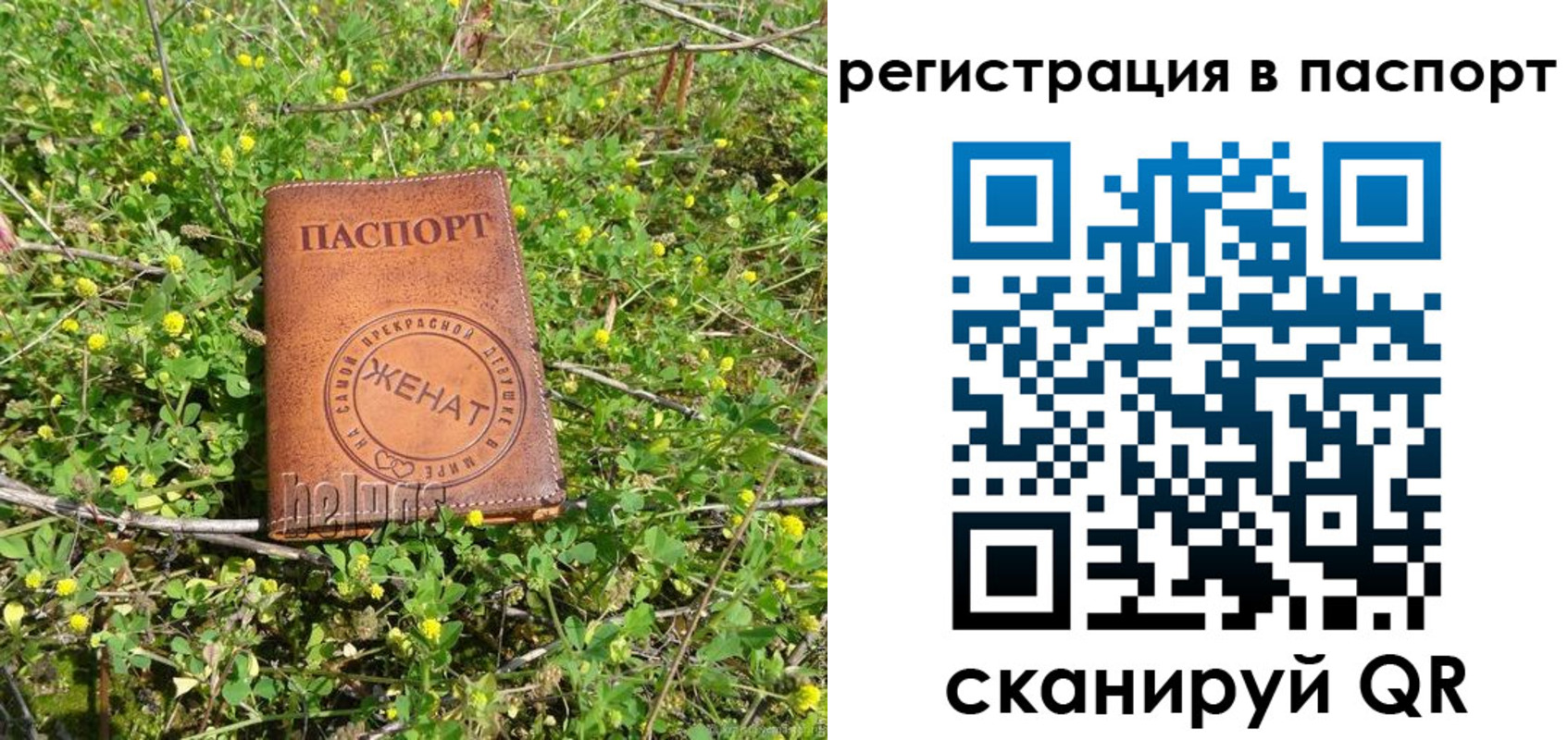 прописка законно в Междуреченске